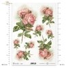 roses, bouquets, rose flowers, rose branches, buds, leaves, foliage, garden, Retro, Rosen, Rosenstrauß, Sträuße, Rosenblüten, Rosenzweige, Knospen, Blätter, Garten, retro, rosas, ramos de rosas, flores de rosas
